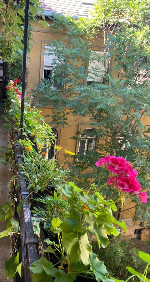 בודפשט Kiraly78 Huge Apartment מראה חיצוני תמונה